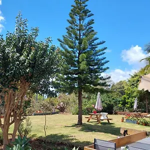  Appartement Viewpoint Machico - Lovely Nature View Portugal